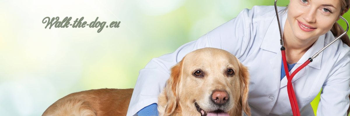 walk-the-dog.eu